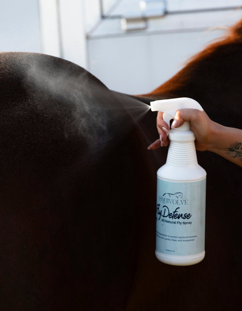 Load image into Gallery viewer, Fly Defense
