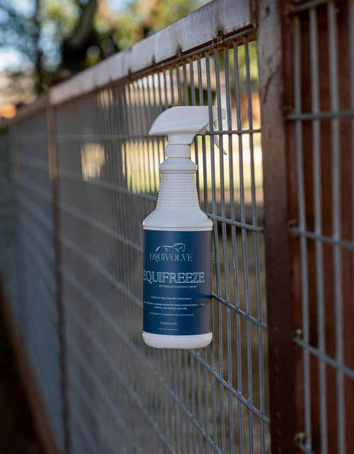 Load image into Gallery viewer, EQUIFREEZE
