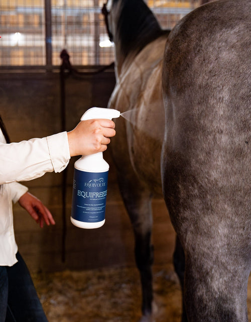 Load image into Gallery viewer, EQUIFREEZE
