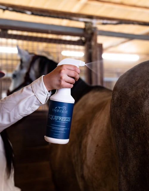 Load image into Gallery viewer, EQUIFREEZE
