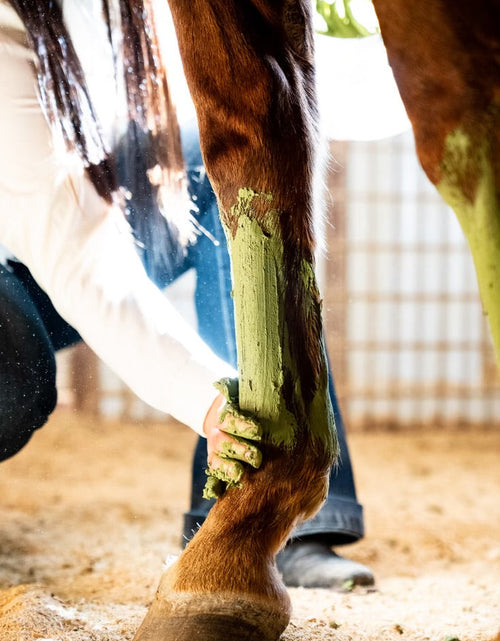 Load image into Gallery viewer, EQUIDRAW
