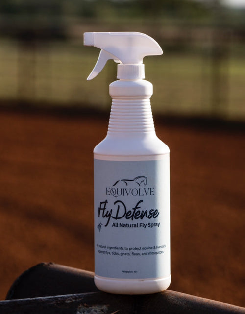 Load image into Gallery viewer, Fly Defense
