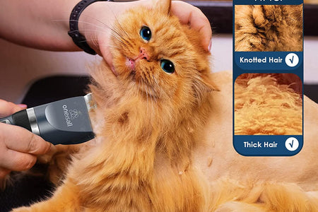 Cat Clippers for Matted Hair, Quiet Cat Shaver for Long Hair, Cordless Cat Hair Trimmer for Grooming, 2 Speed Pet Shaver Cat Grooming Kit for Cats Small Dogs Animals (Blue)